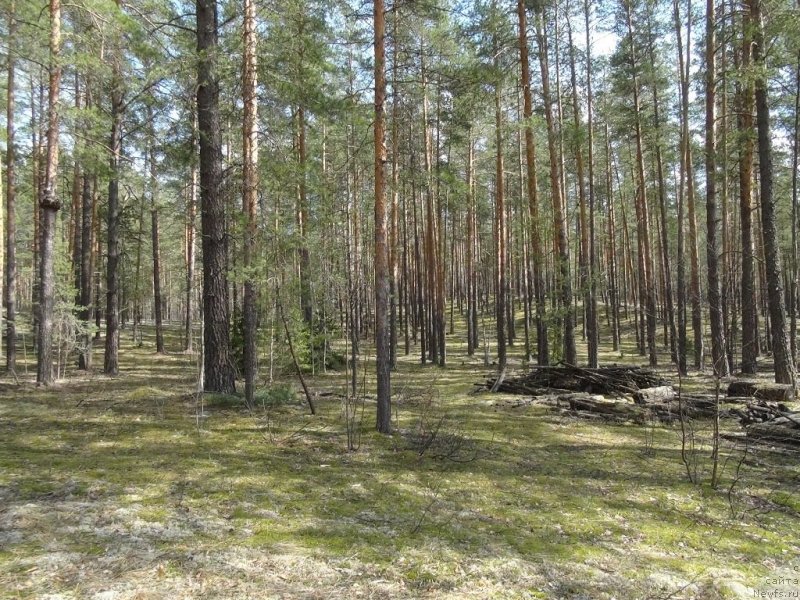 Фотография № 151957