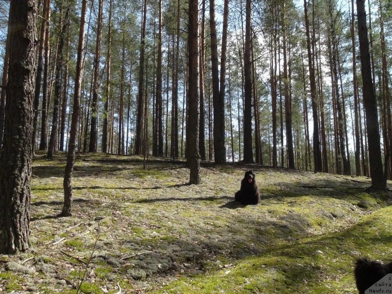 Фотография № 151958