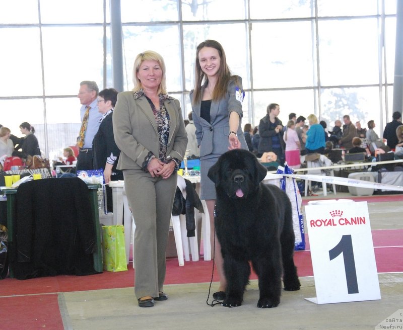 Фотография № 151986