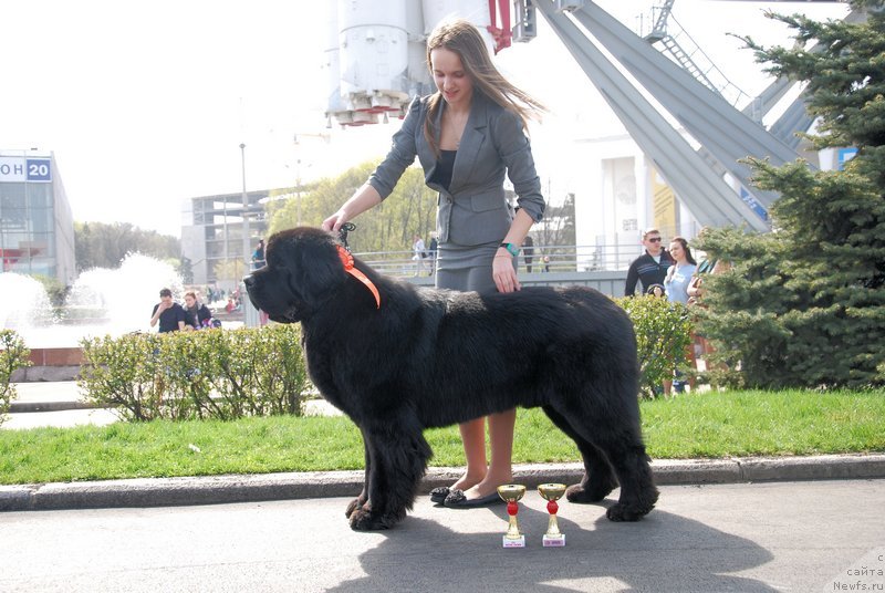 Фотография № 151992