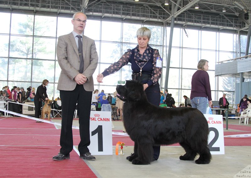 Фотография № 151996