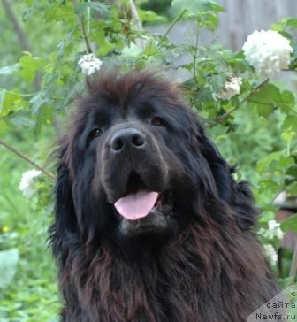 Фотография № 152