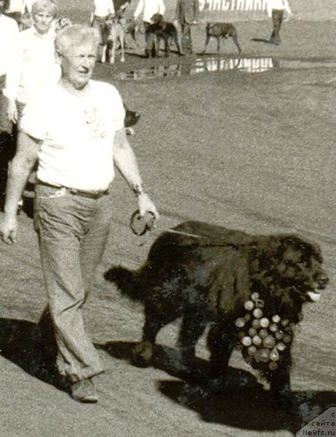 Фото: ньюфаундленд Zabir Han (Забир Хан)