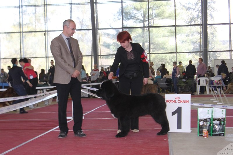 Фотография № 152014