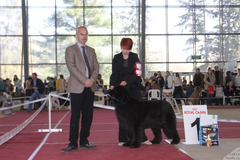 Фотография № 152027