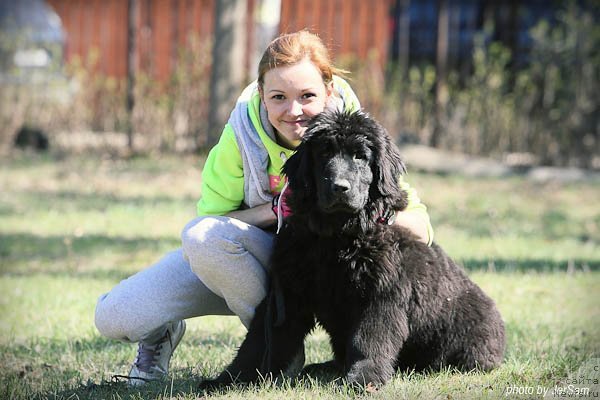 Фото: ньюфаундленд YEvolyuciya iz Antagrada (Эволюция из Антаграда)