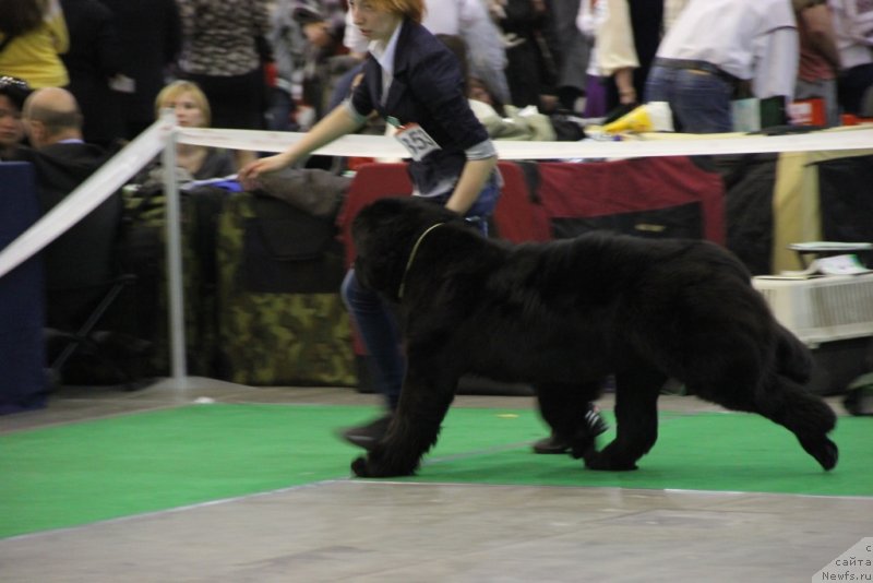 Фотография № 152065