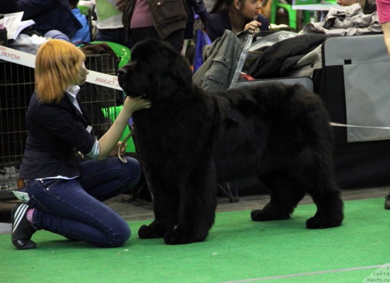 Фотография № 152067