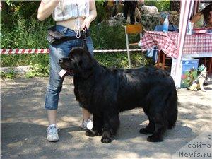 Фотография № 15207