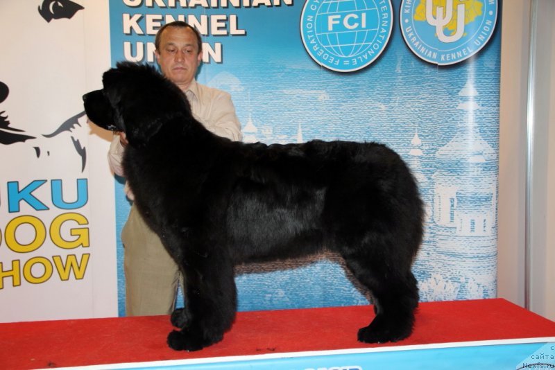 Фотография № 152070