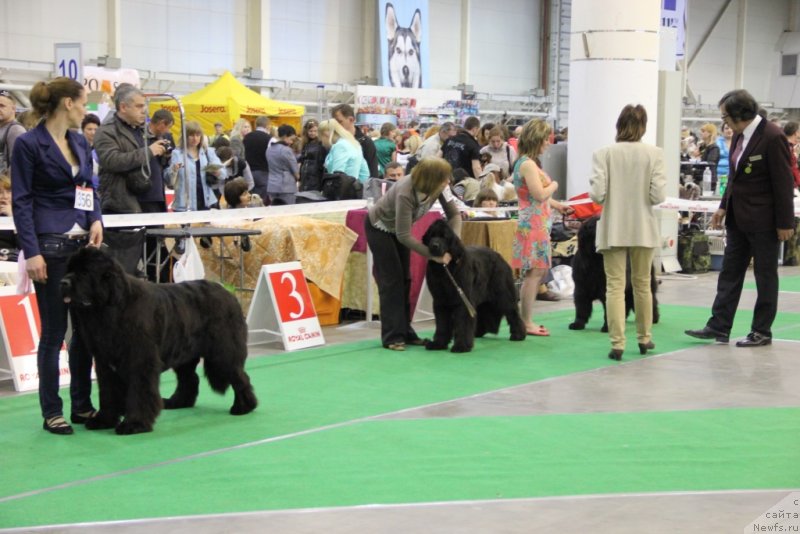 Фотография № 152072