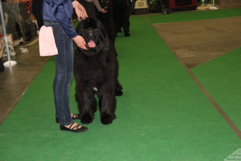 Фотография № 152073