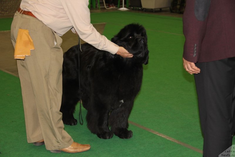 Фотография № 152075