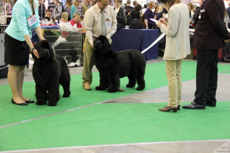 Фотография № 152076