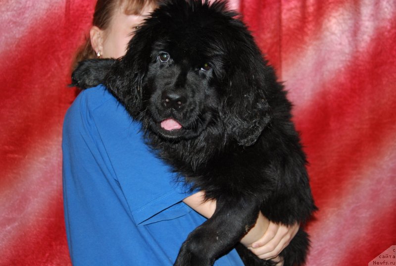 Фотография № 152077