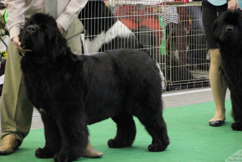 Фотография № 152082