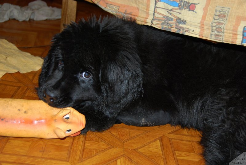 Фотография № 152083