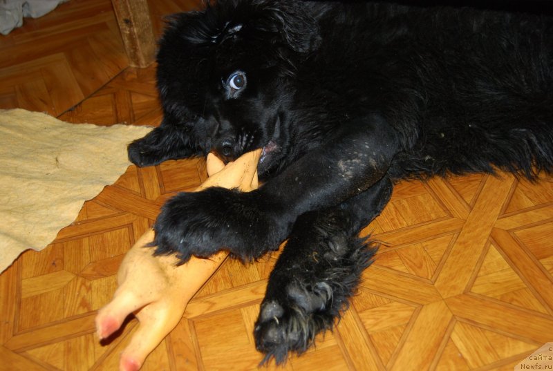 Фотография № 152085