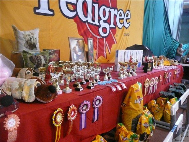 Фотография № 15209