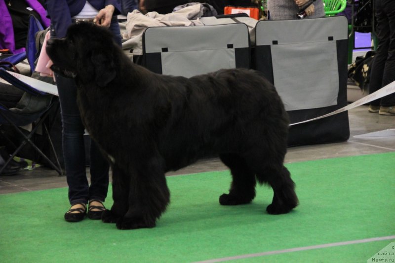 Фотография № 152095