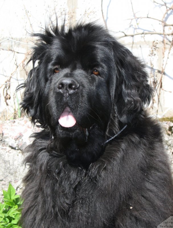 Фотография № 152096