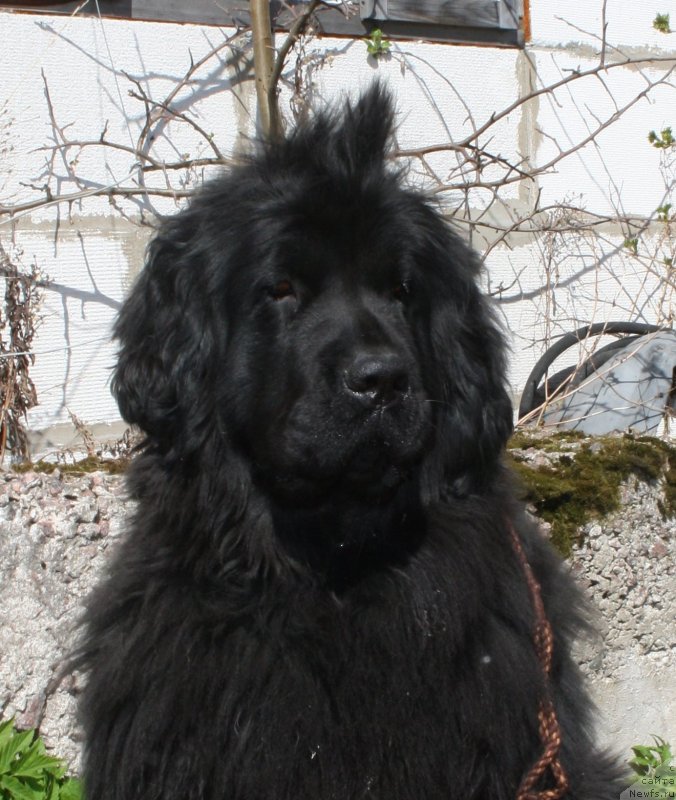 Фотография № 152106