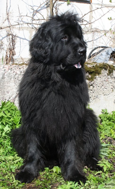 Фотография № 152107