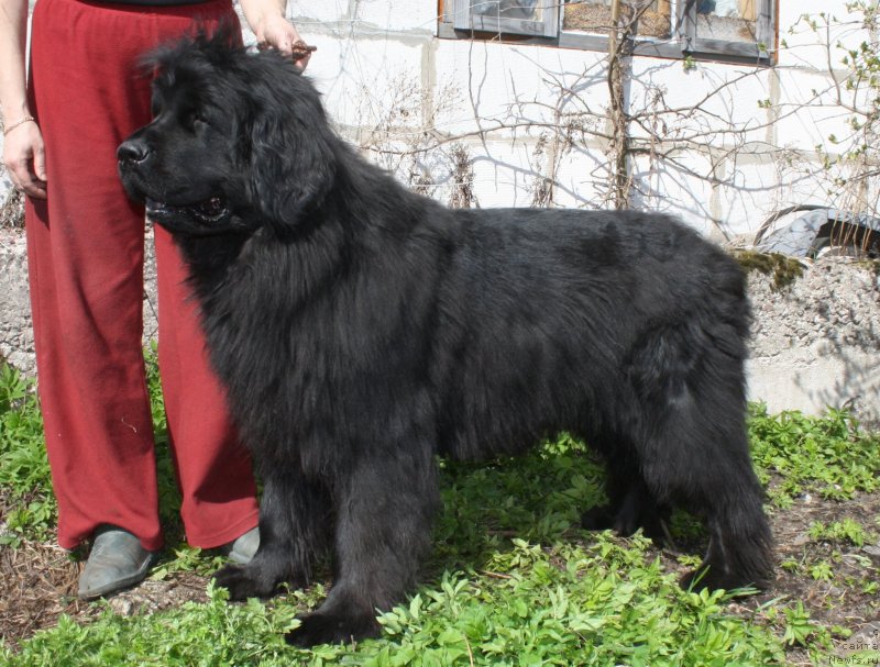 Фотография № 152108