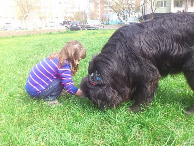 Фотография № 152114