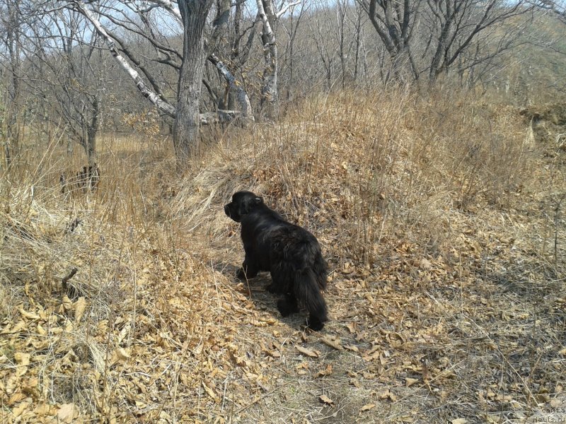 Фотография № 152140