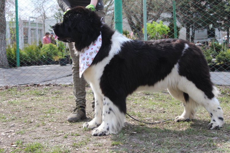 Фотография № 152152