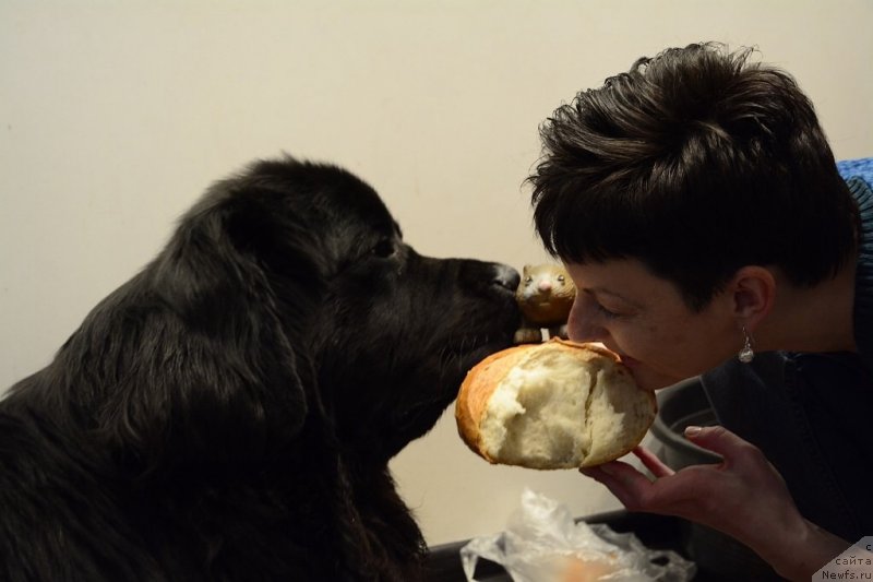 Фотография № 152168