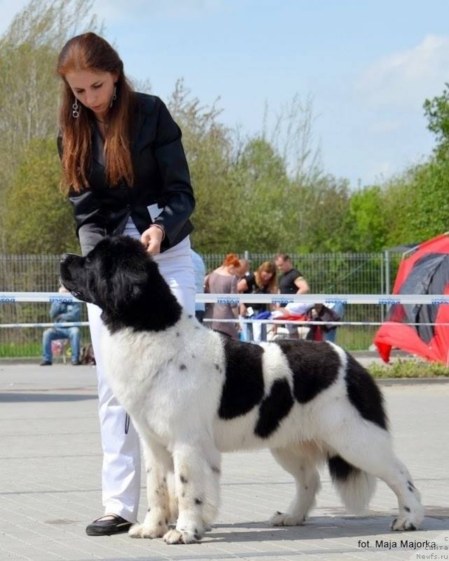 Фотография № 152169