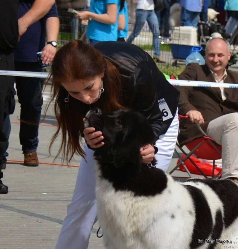 Фотография № 152170