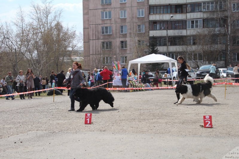 Фотография № 152175