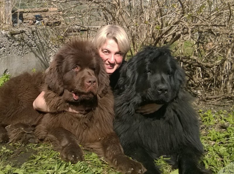 Фотография № 152193