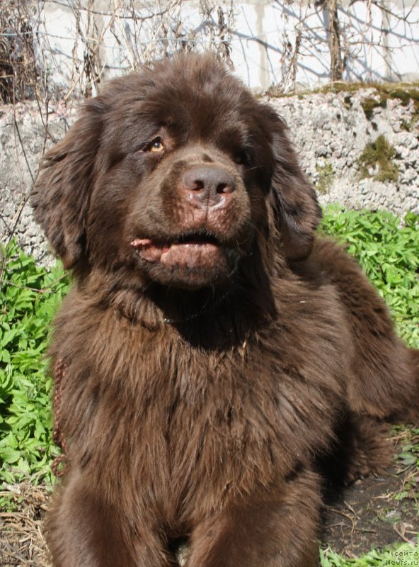 Фотография № 152197