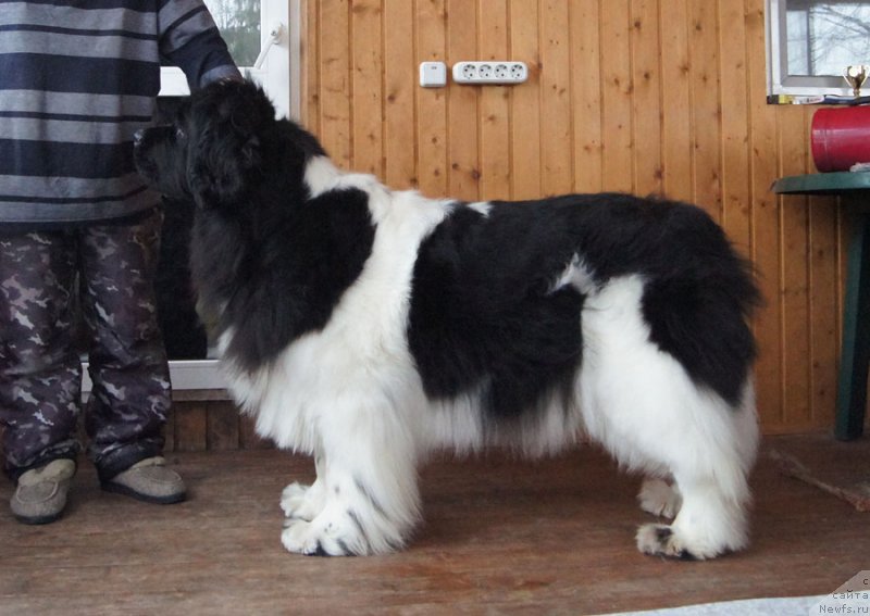 Фотография № 152207