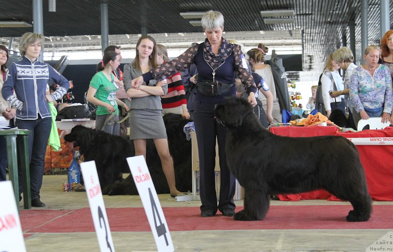 Фотография № 152216