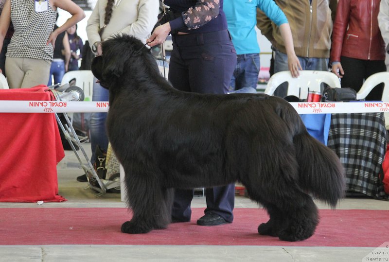 Фотография № 152218