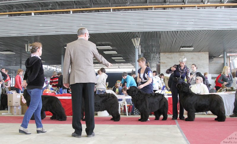 Фотография № 152221