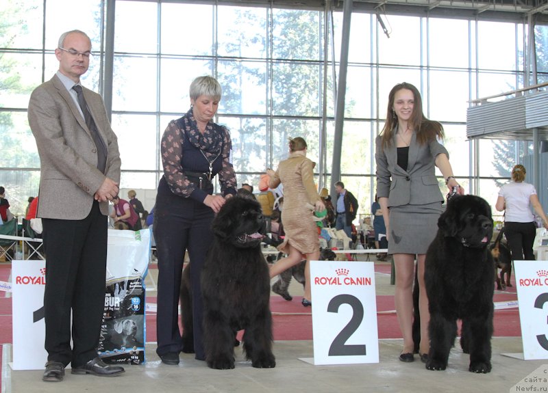 Фотография № 152222