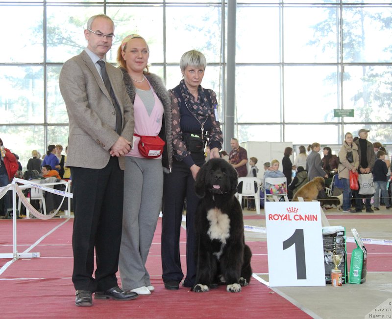 Фотография № 152226