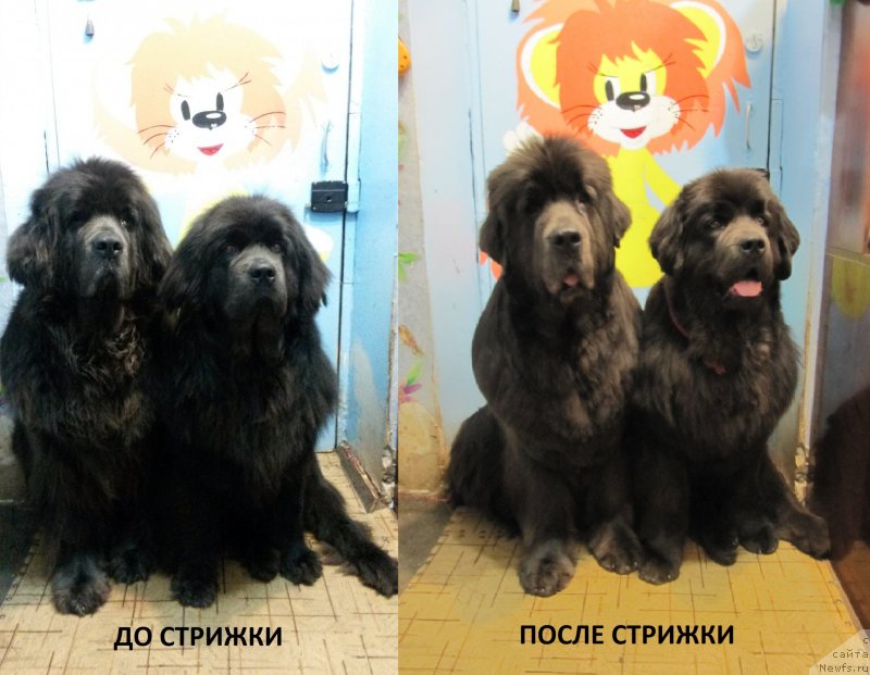 Фотография № 152253