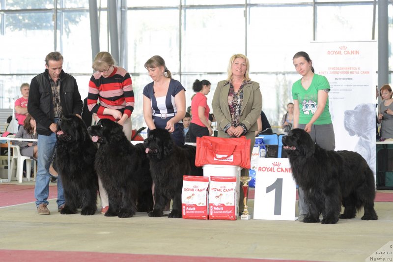 Фотография № 152261