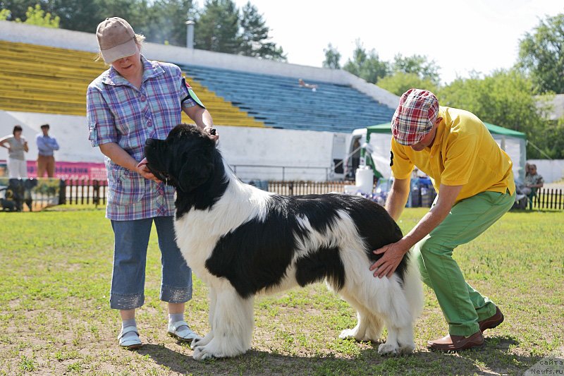 Фотография № 152273