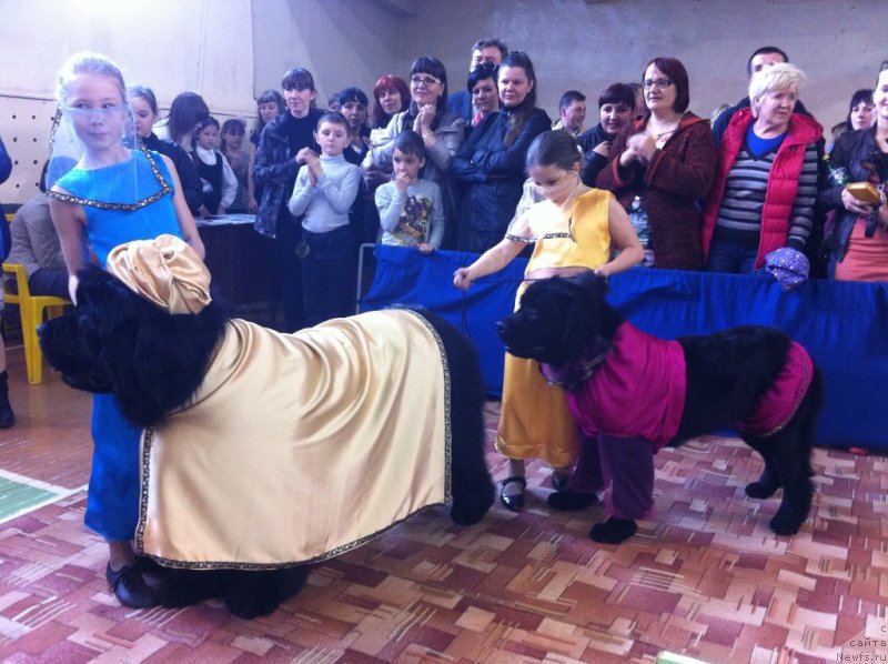 Фотография № 152295