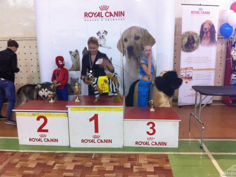 Фотография № 152296