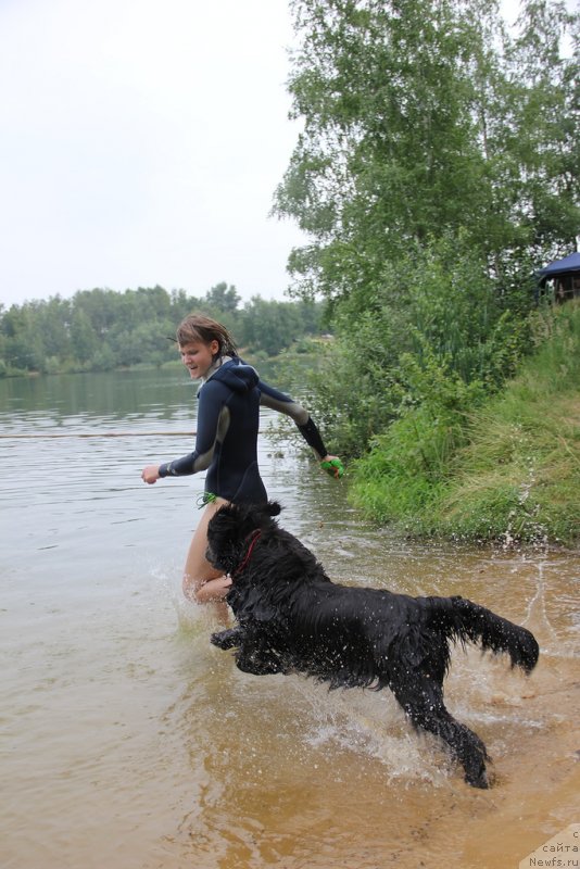 Фото: Anastasiya Kireeva (Анастасия Киреева), ньюфаундленд Melty Wave Marine Tifeya (Мелти Вейв Марин Тифея)