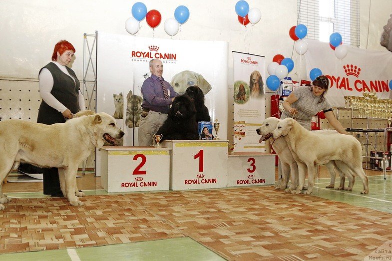 Фотография № 152301